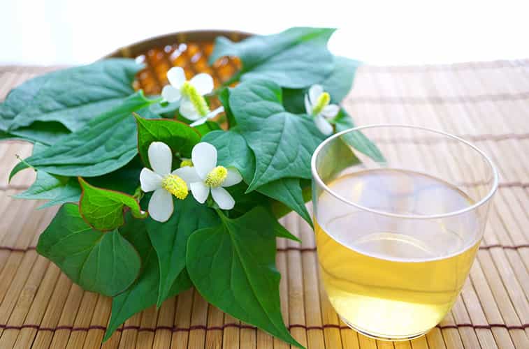 Trà Orihiro Dokudami thải độc khi được pha với nước dùng để uống hằng ngày