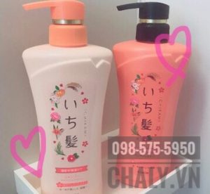 Ban đầu mình tính dùng thử xem Ichikami shampoo & conditioner như thế nào, không tốt thì đổi loại khác nhưng không ngờ ưng thế