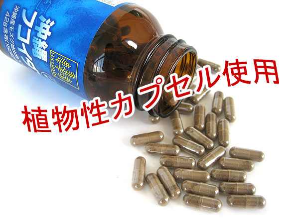 Thuốc fucoidan Nhật Bản mang lại vô số hiệu quả cho sức khoẻ, trong đó nổi bật là khả năng phòng ngừa và hỗ trợ điều trị ung thư