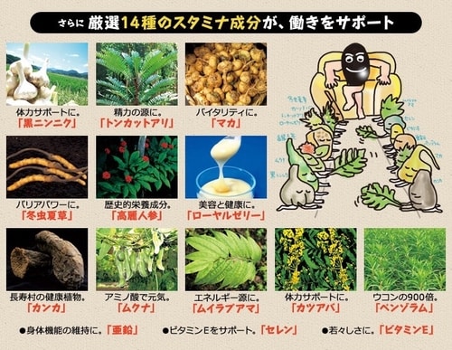 14 thành phần đẩy tăng sức mạnh cơ bắp, giảm stress, chống oxy hoá, tuyệt vời trong viên mè đen của Nhật