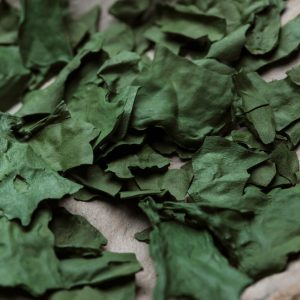 Spirulina là một loại vi tảo dạng sợi xoắn màu xanh lục, sinh trưởng tự nhiên trong đại dương và các hồ nước mặn ở khu vực khí hậu cận nhiệt đới