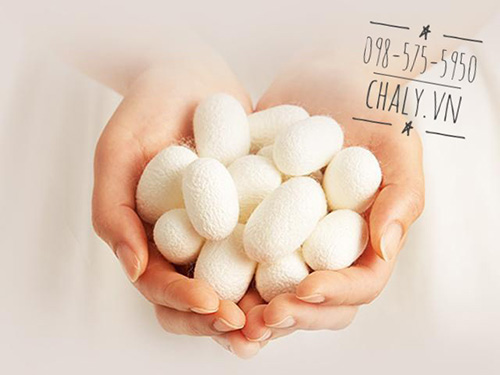 Thành phần độc đáo riêng biệt của mỹ phẩm Senka đó là chiết xuất từ tơ tằm Nhật