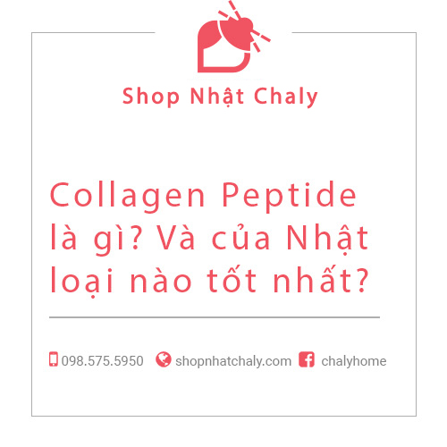 Top Collagen Peptide Nhật tốt nhất