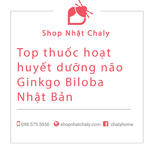 top thuoc hoat huyet duong nao ginkgo biloba nhat ban