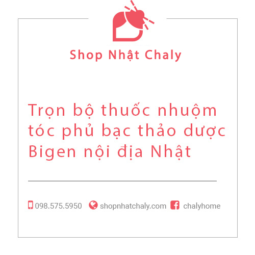 Tron bo thuoc nhuom toc phu bac Bigen noi dai Nhat 01