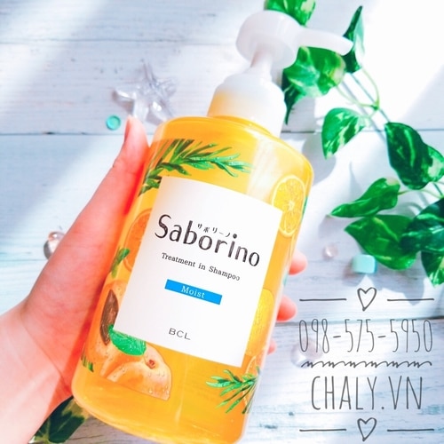 Là dầu gội đầu Nhật không chứa silicone, giá thành của Saborino treatment in shampoo tuy hơi cao hơn mặt bằng dầu gội đầu bình dân nhưng được review là chất lượng hoàn toàn tương xứng